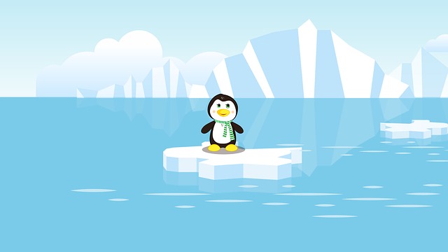 tučňák u ledovce.jpg